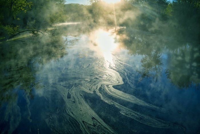 water contamination in a lake