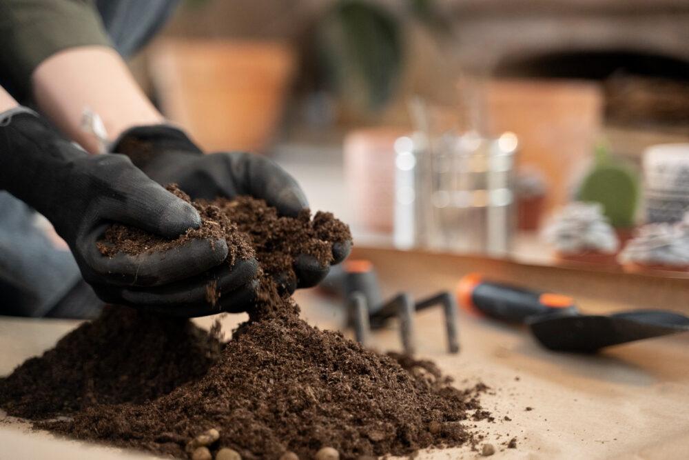 hands wearing gardening gloves and holding potting soil