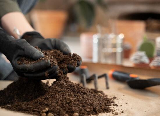 hands wearing gardening gloves and holding potting soil